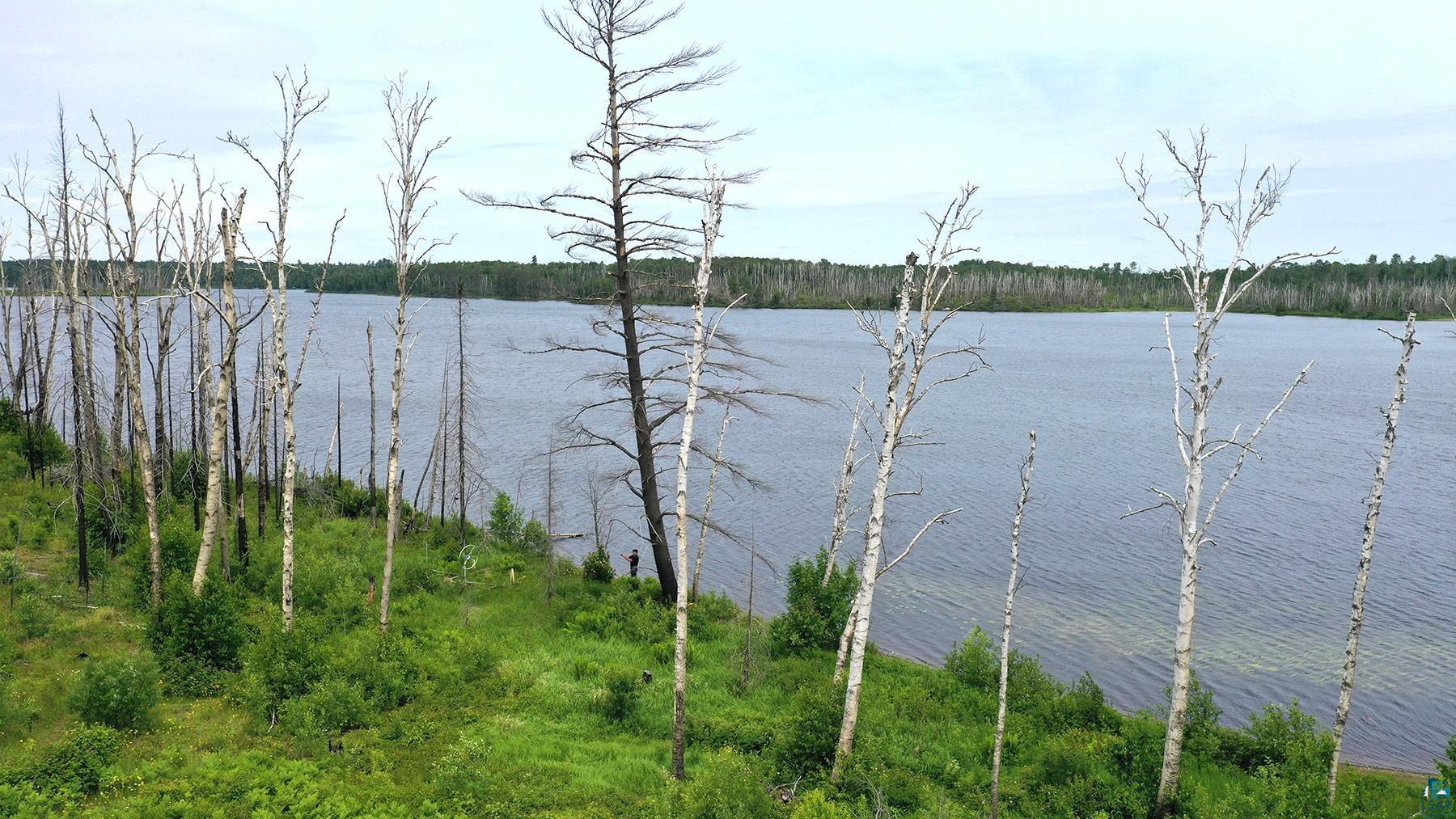 2377 North McDougal Lake Road Isabella, MN 55607 - Photo 2 of 11