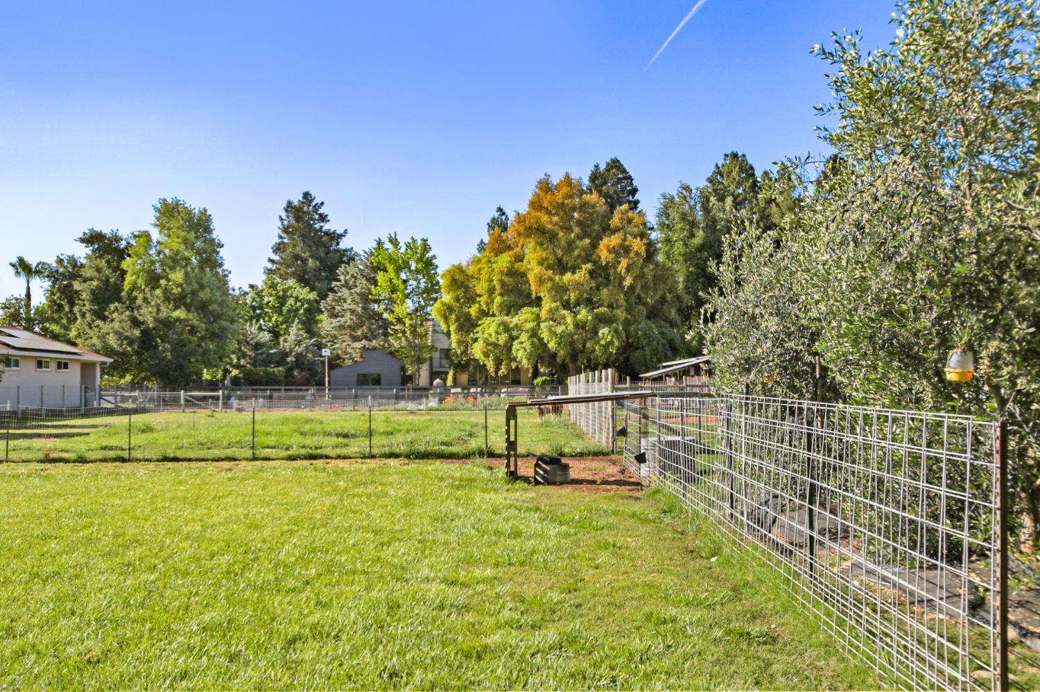 0 Russell Boulevard Davis, CA 95616 - Photo 12 of 22 a view of a park with large trees