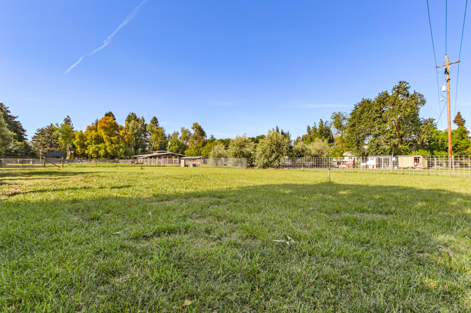 0 Russell Boulevard Davis, CA 95616 - Photo 13 of 22 a view of yard with trees