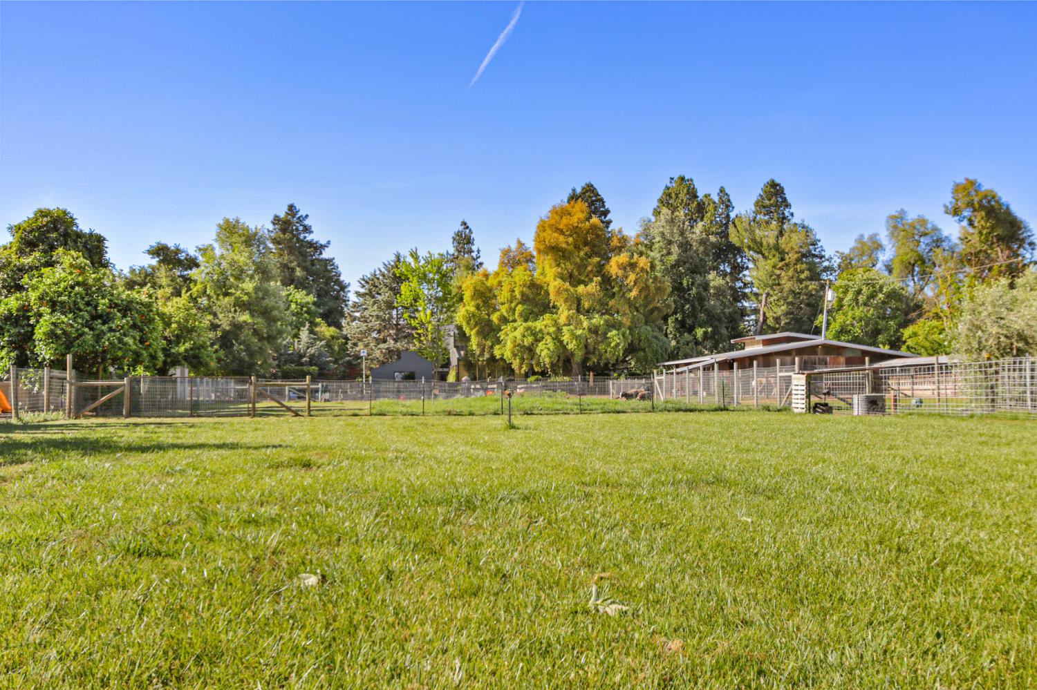 0 Russell Boulevard Davis, CA 95616 - Photo 14 of 22 a front view of a house with a yard
