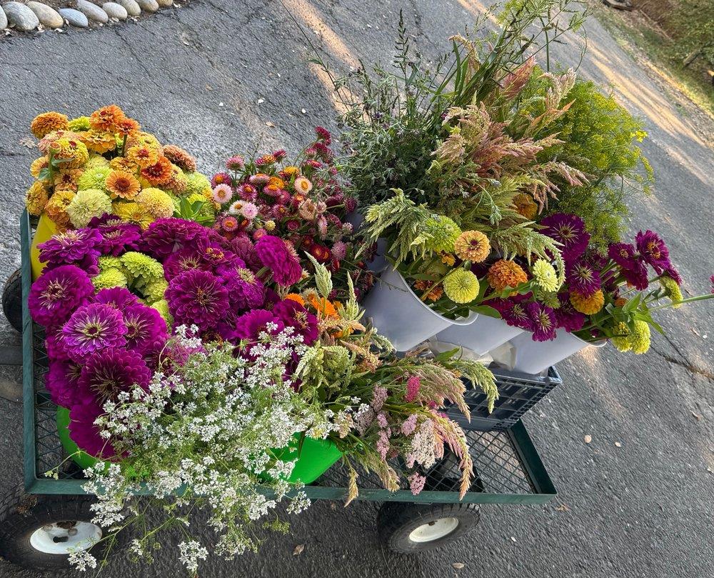 0 Russell Boulevard Davis, CA 95616 - Photo 22 of 22 a picture of flowers