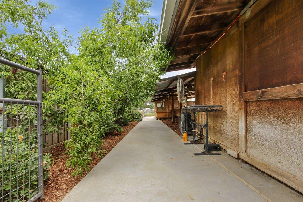 0 Russell Boulevard Davis, CA 95616 - Photo 7 of 22 a view of path along with trees