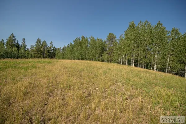 $145,000 | Lot 11 Potpourri Drive, Ashton, ID 83420