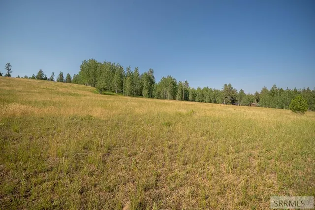 $145,000 | Lot 11 Potpourri Drive, Ashton, ID 83420