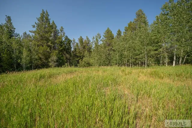 $145,000 | Lot 11 Potpourri Drive, Ashton, ID 83420