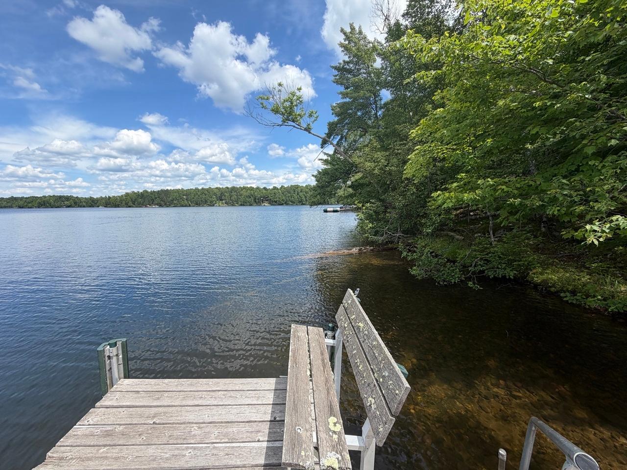 7101 Island View Road Manitowish Waters, WI 54545 - Photo 4 of 44