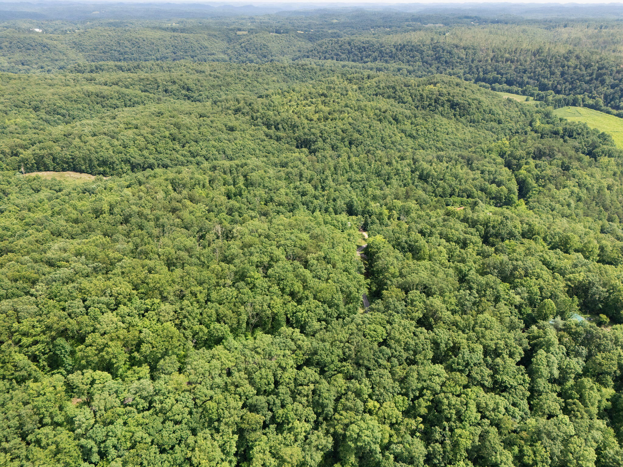 2401 Belle Point Road Beattyville, KY 41311 - Photo 13 of 28 12-web-or-mls-DJI_20250701160008_0273_D
