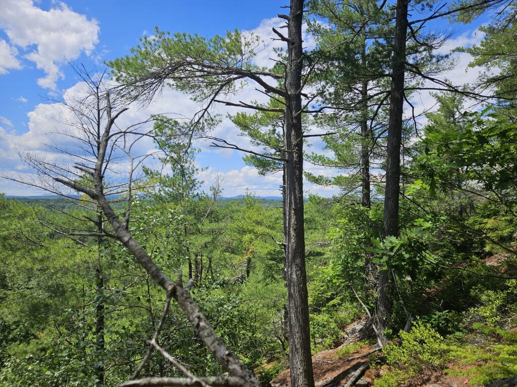 Multiple Quaker Ridge Road Leeds, ME 04263 - Photo 11 of 79 20260624_134236