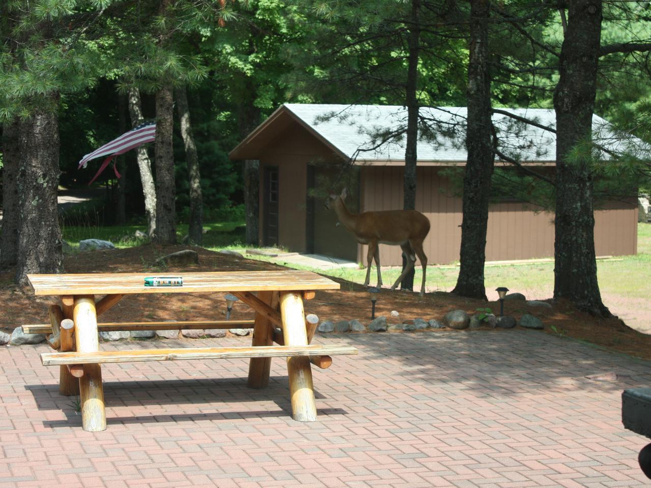 6641 North Forest Lake Road Land O'Lakes, WI 54540 - Photo 40 of 45 Gallery Image 40