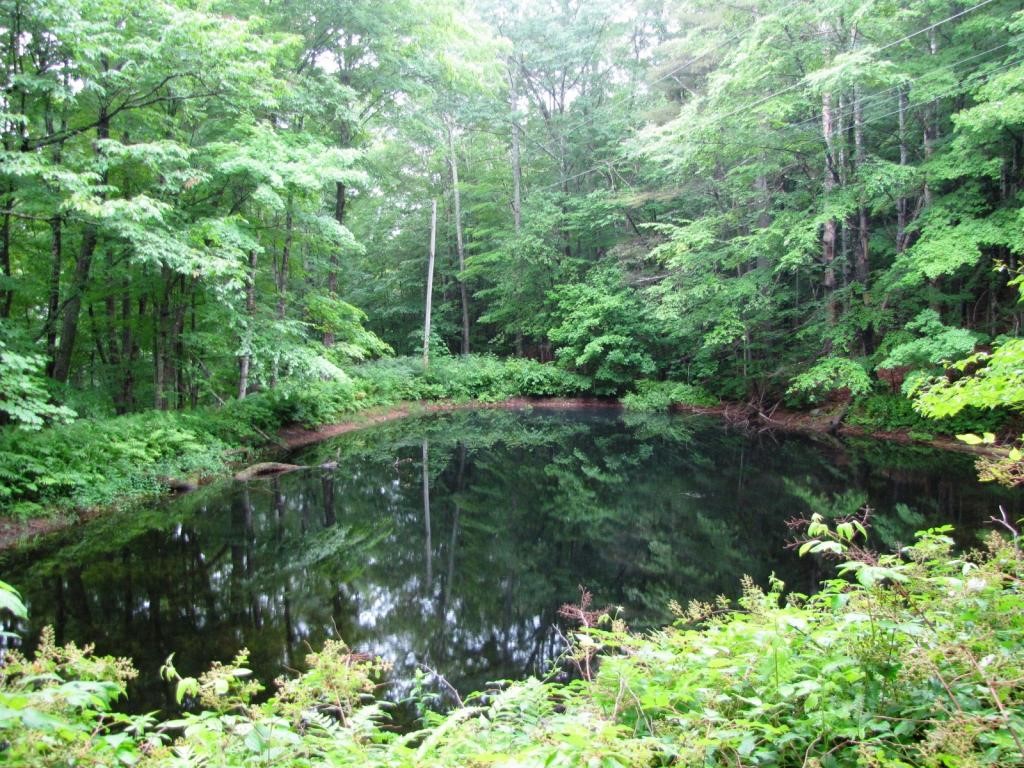 112 Hobby Hill Road Newfane, VT 05345 - Photo 5 of 40