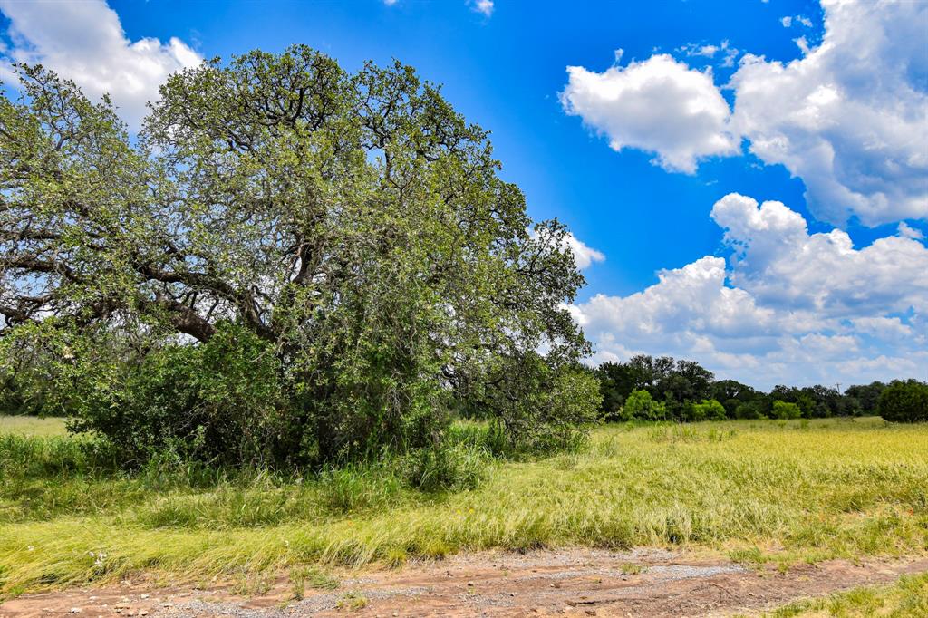 95 Homestead Drive Rochelle, TX 76872 - Photo 5 of 12