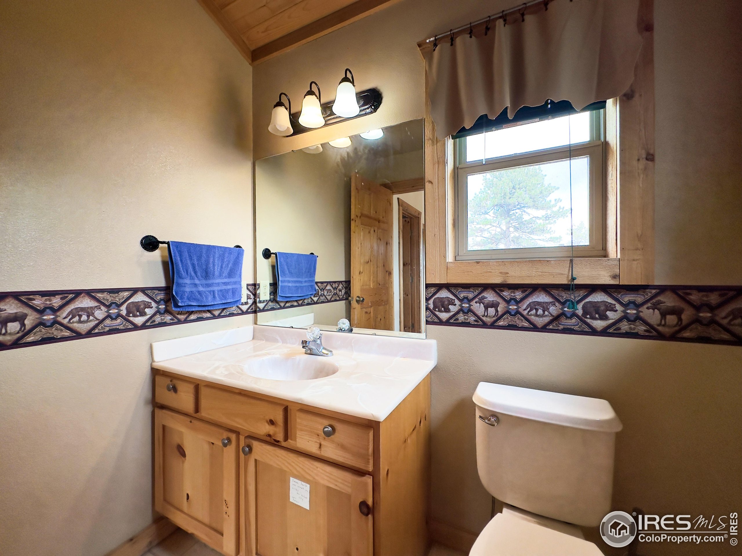 3676 Cherokee Meadows Road Livermore, CO 80536 - Photo 18 of 43