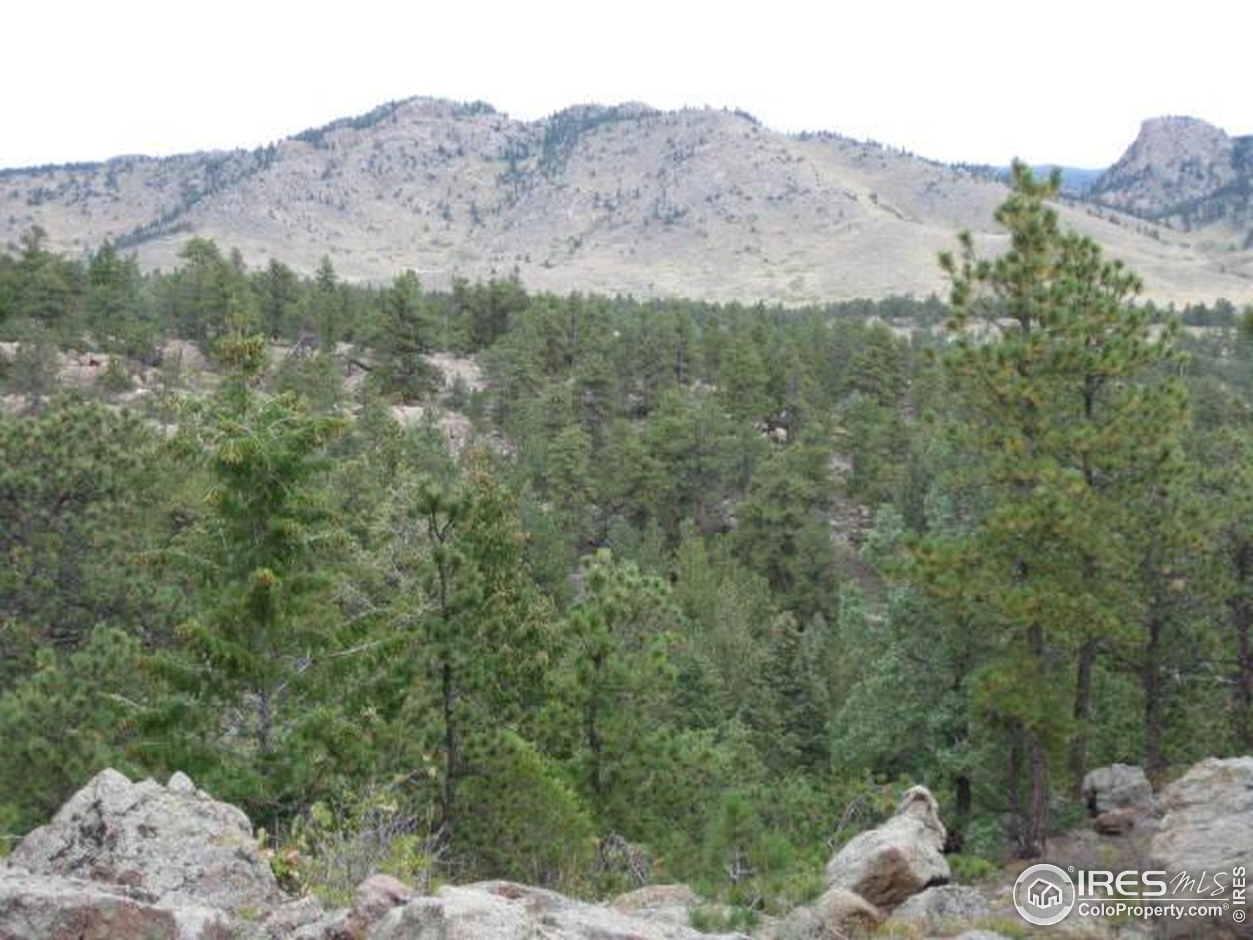 3676 Cherokee Meadows Road Livermore, CO 80536 - Photo 36 of 43