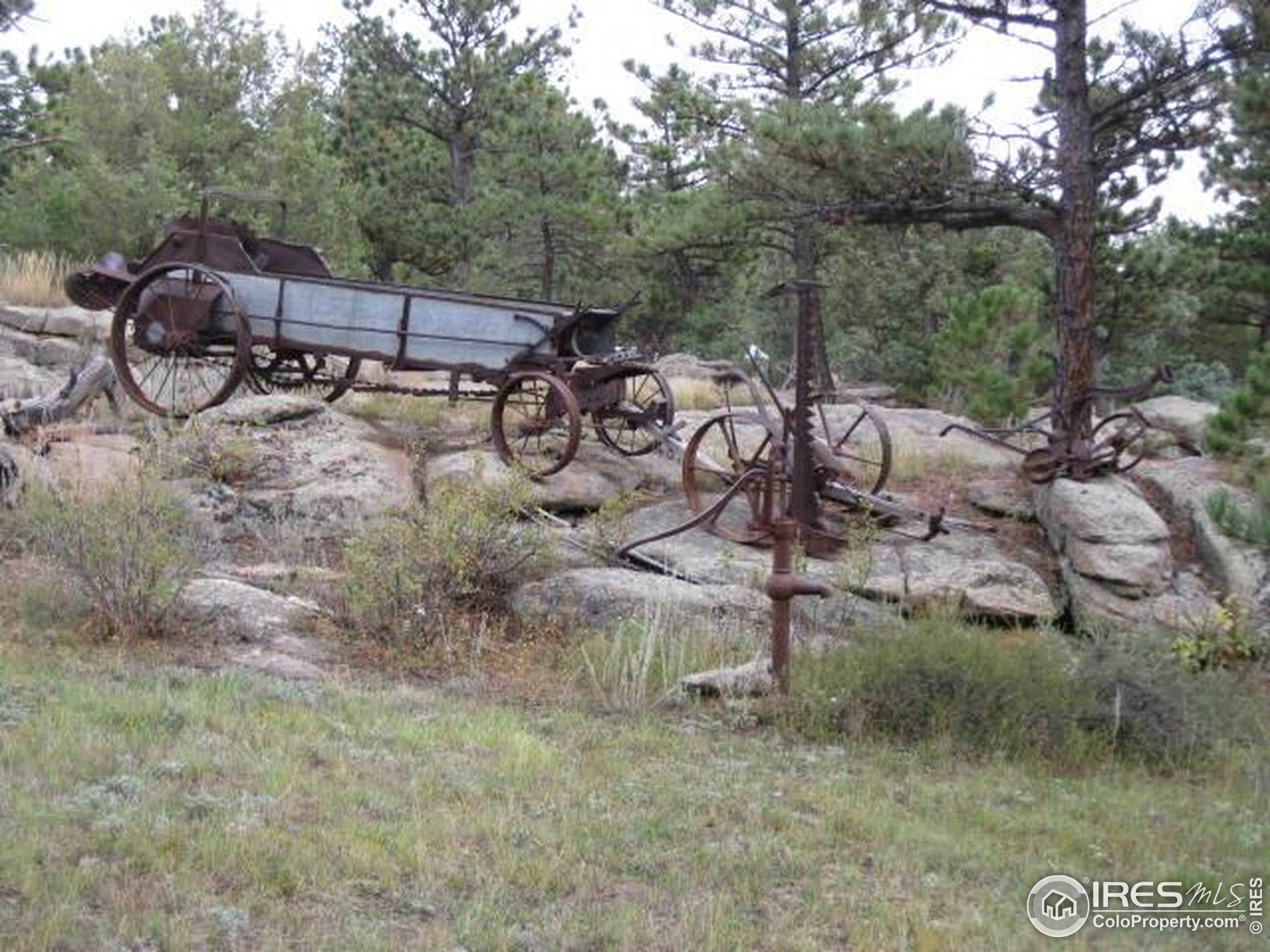3676 Cherokee Meadows Road Livermore, CO 80536 - Photo 41 of 43