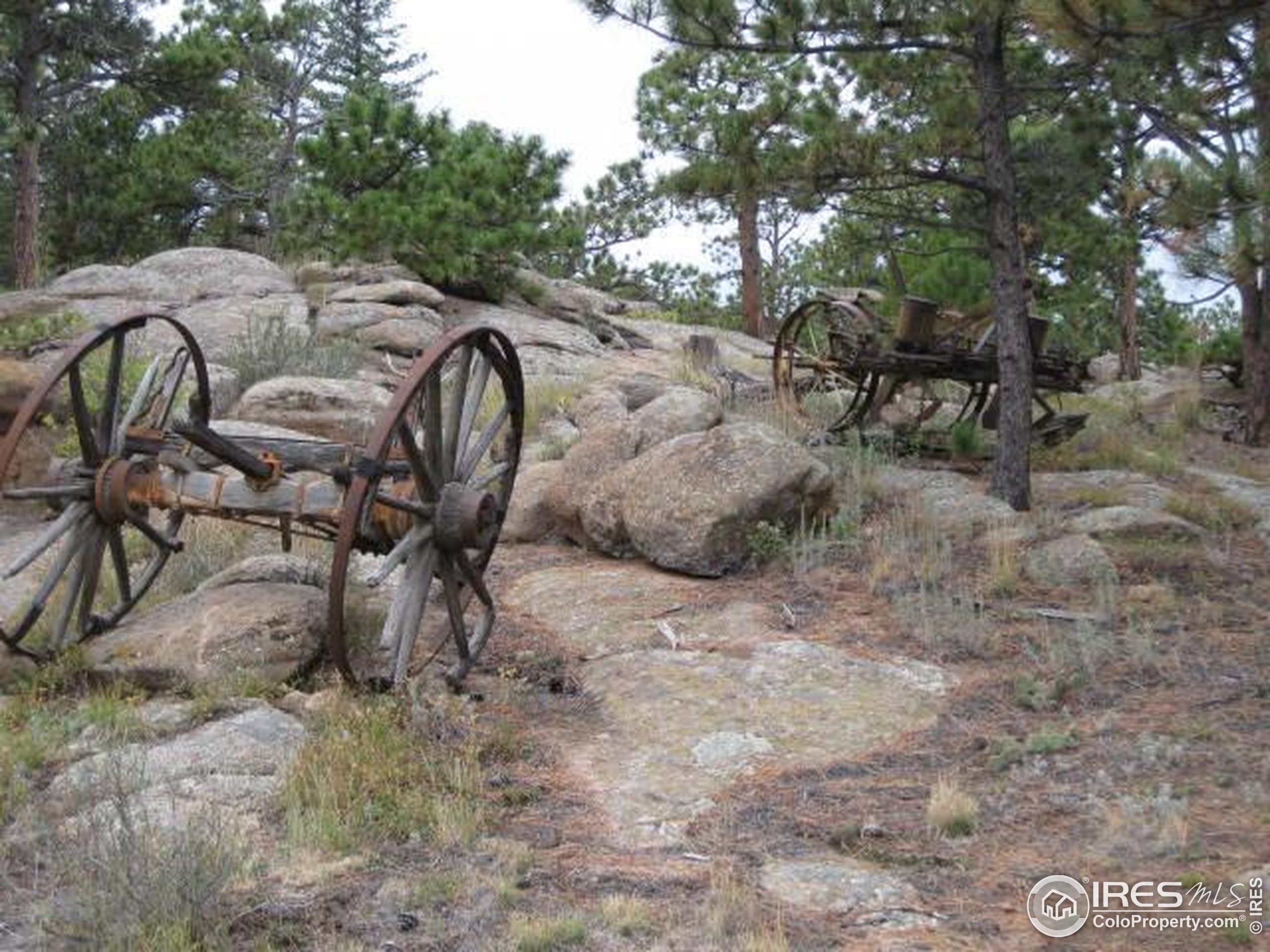 3676 Cherokee Meadows Road Livermore, CO 80536 - Photo 42 of 43
