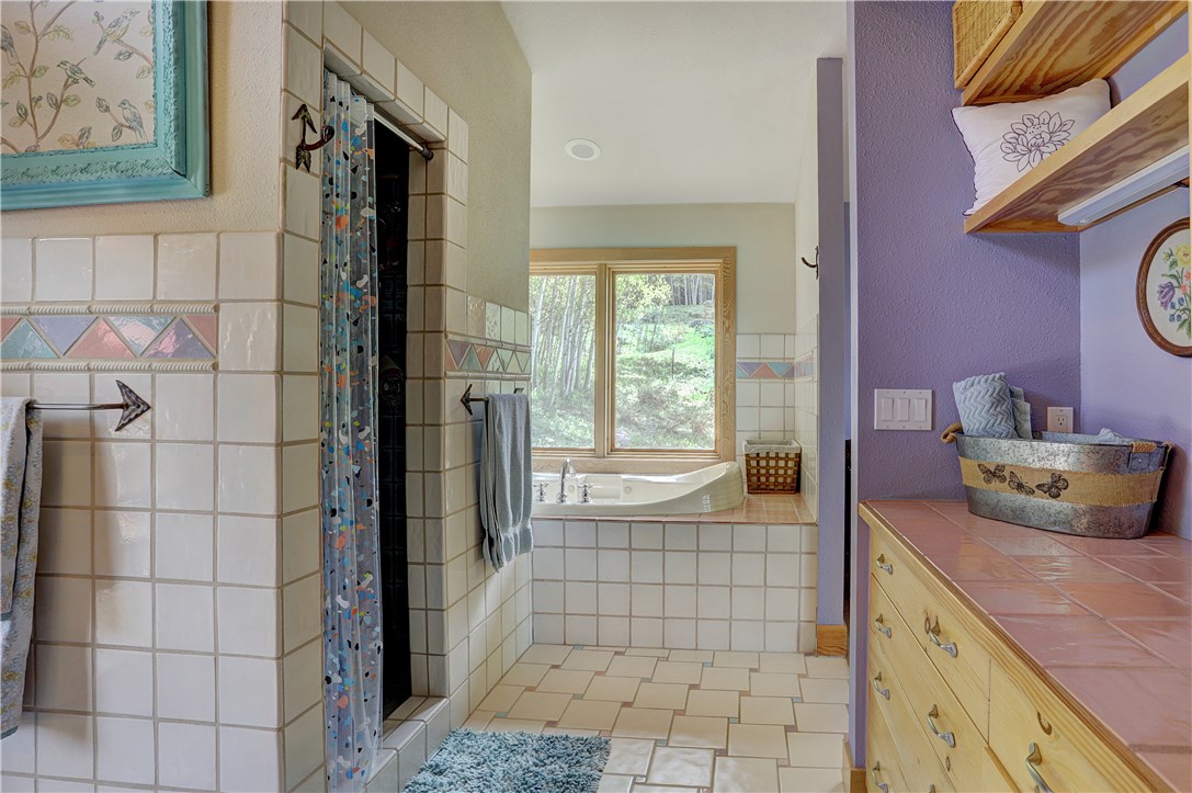 1050 South Ruby Road Silverthorne, CO 80498 - Photo 26 of 35 Gallery Image 26