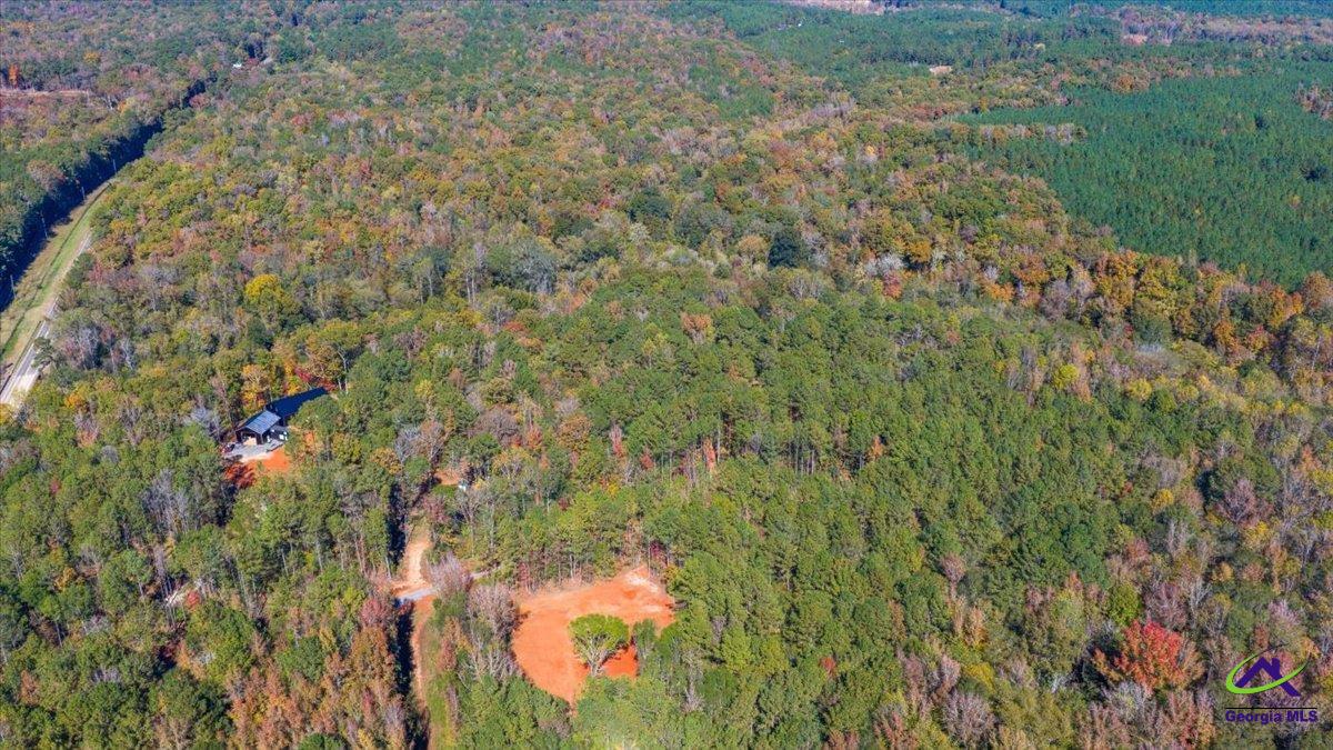 3271 Highway 42 Forsyth, GA 31029 - Photo 17 of 29