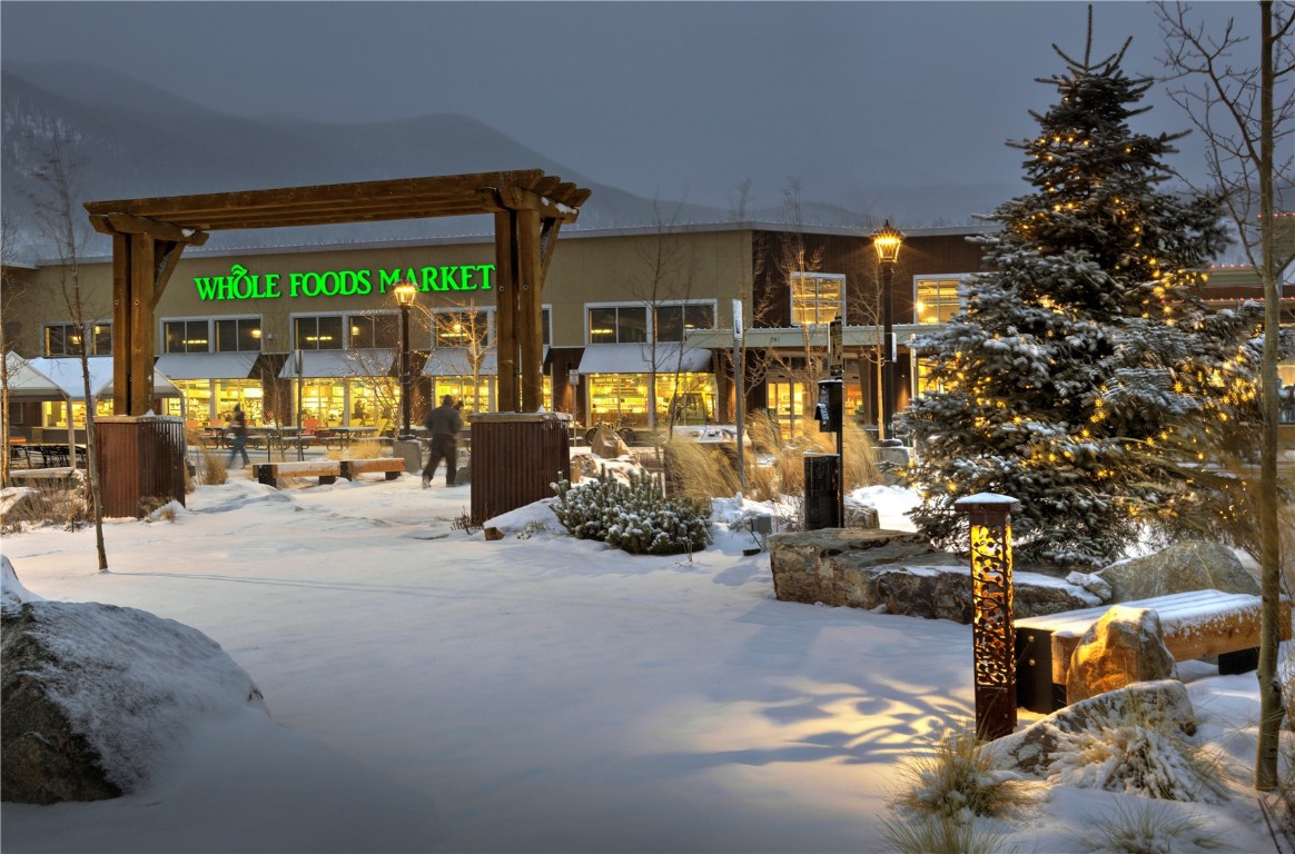 185 Lusher Court, Unit 109 Frisco, CO 80443 - Photo 19 of 21 a room with lots of potted plants