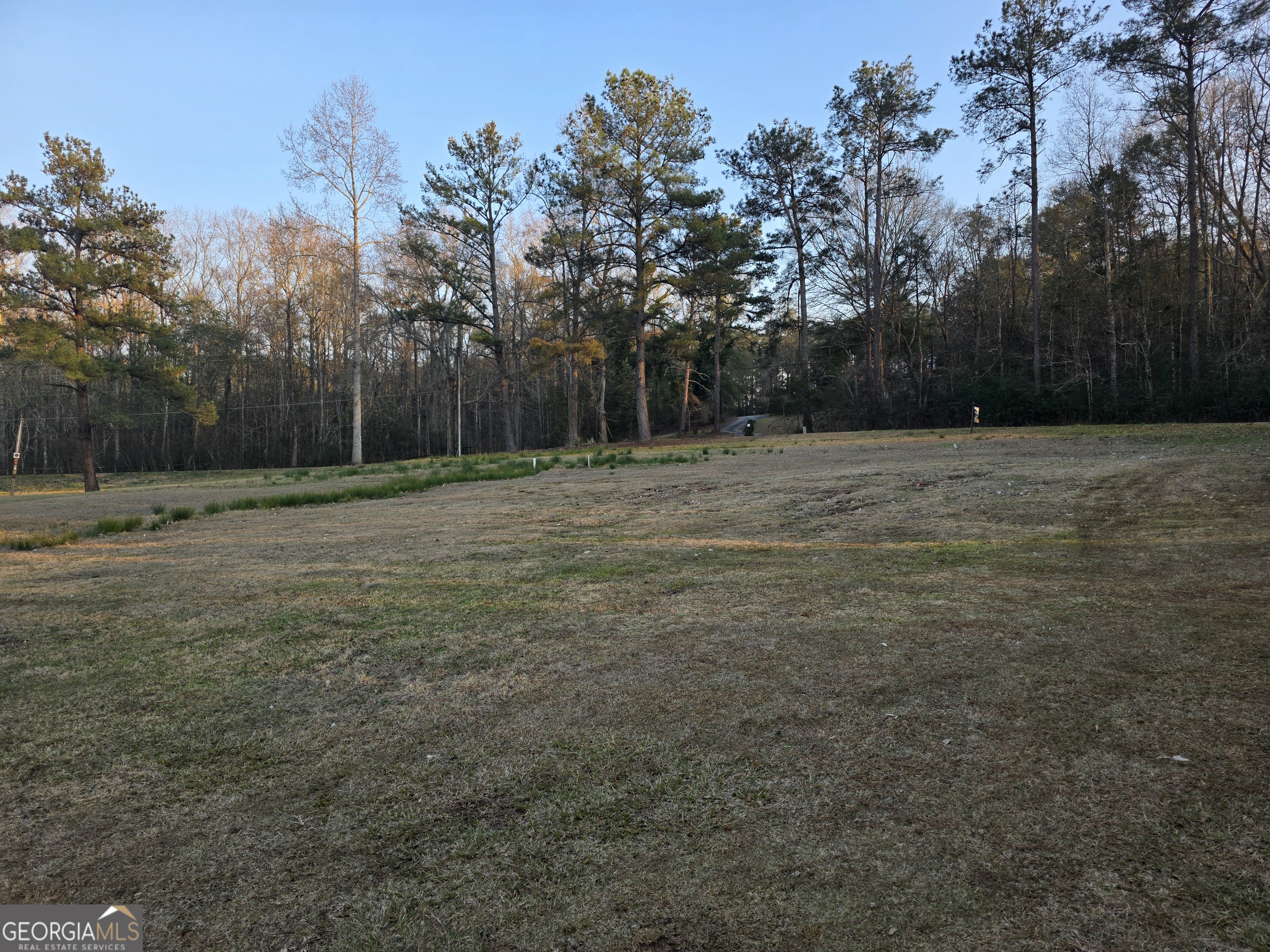 420 Rawley Road Americus, GA 31719 - Photo 14 of 15 a view of a field with trees in the background