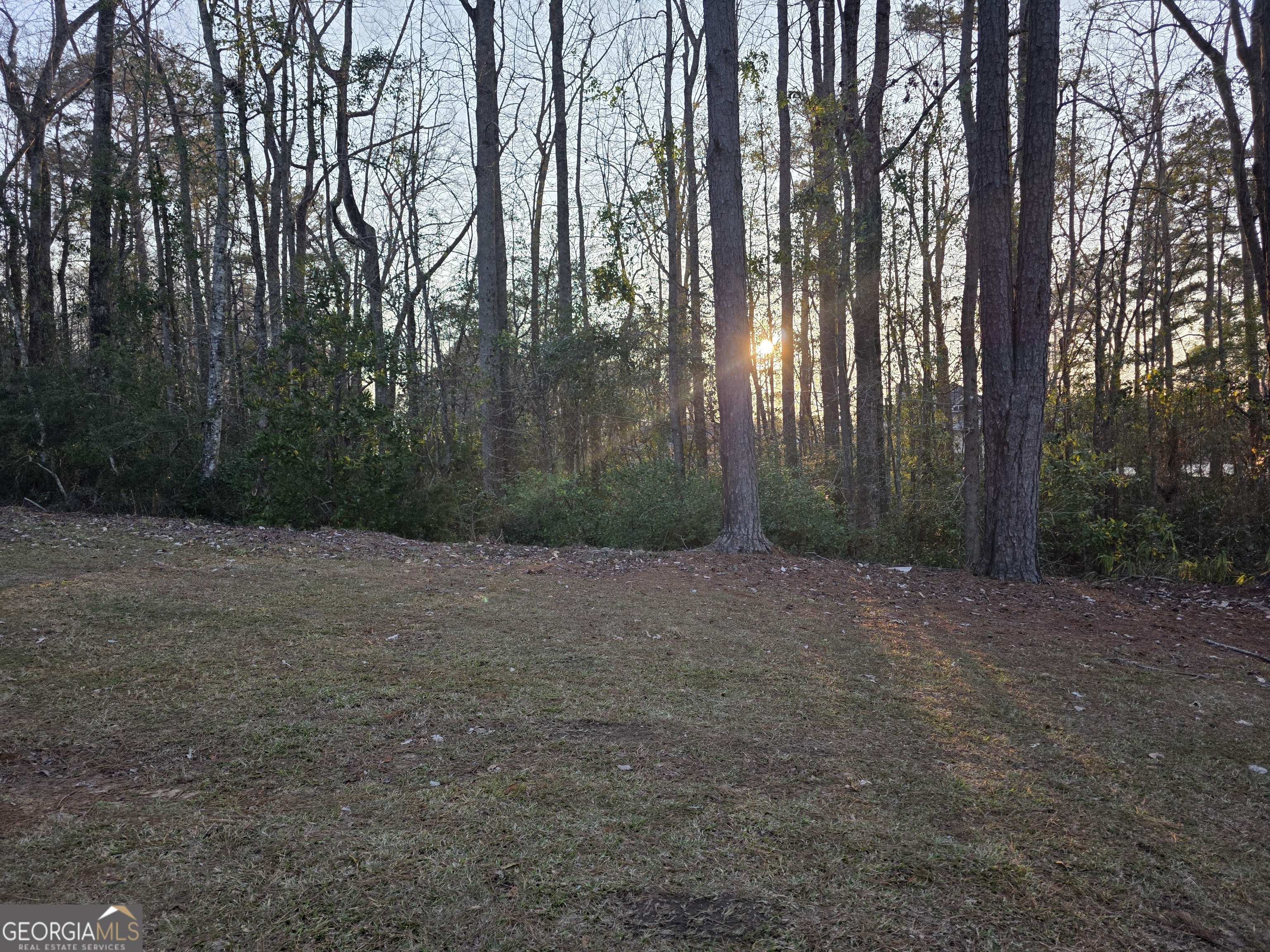 420 Rawley Road Americus, GA 31719 - Photo 15 of 15 a view of a forest with trees in the background