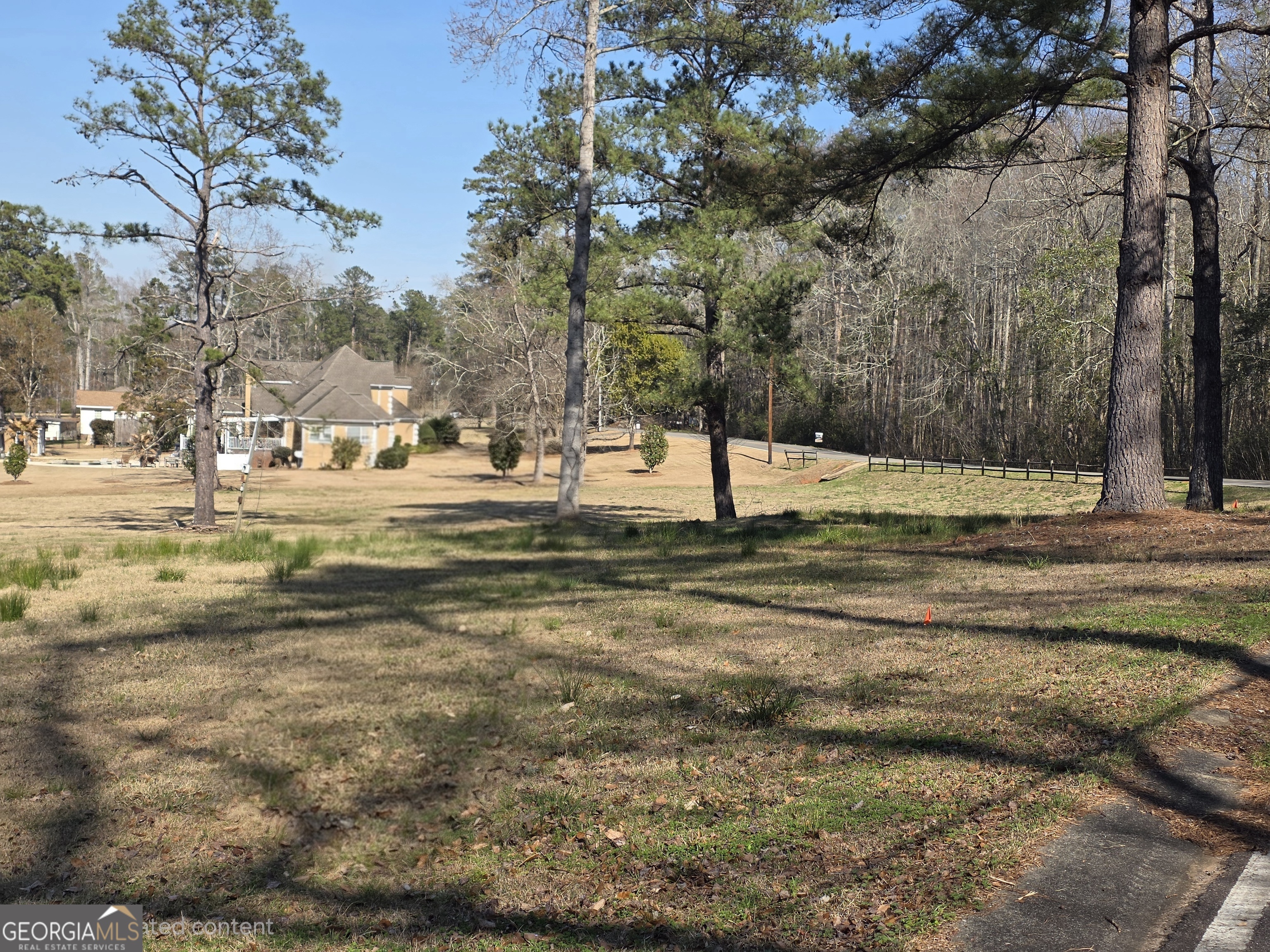 420 Rawley Road Americus, GA 31719 - Photo 10 of 15 a view of road with large trees