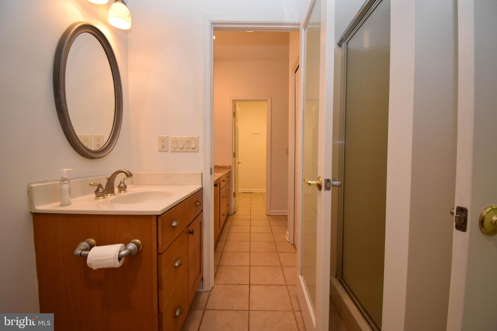1 Bay Point Road Millsboro, DE 19966 - Photo 18 of 26 a bathroom with a sink a mirror and a shower