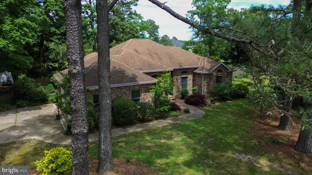 a view of a house with a yard plants and large tree