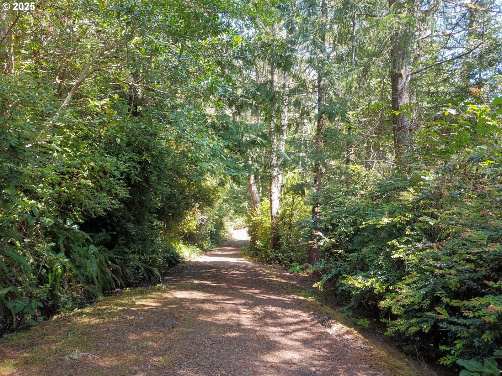 84444 Greengate Road Florence, OR 97439 - Photo 42 of 47 Gallery Image 42