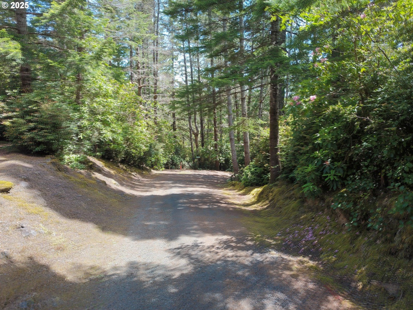 84444 Greengate Road Florence, OR 97439 - Photo 43 of 47 Gallery Image 43