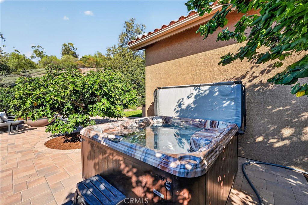 20752 Raintree Lane Rancho Santa Margarita, CA 92679 - Photo 56 of 74 Sundance-Chelsee Spa