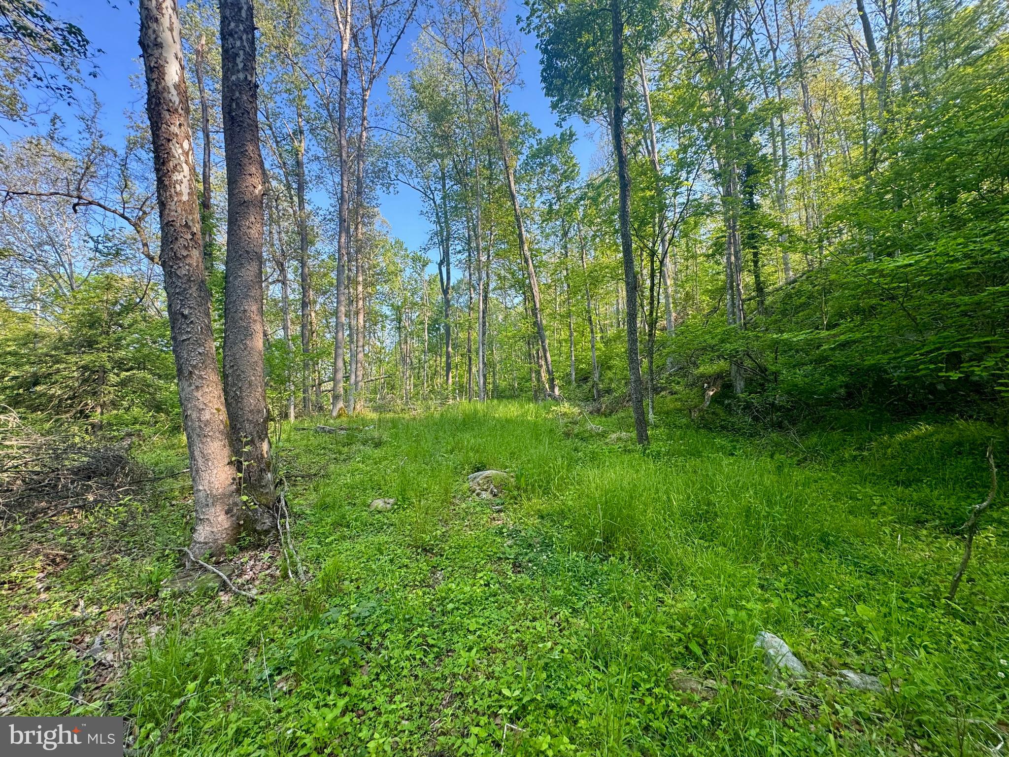 John Orr Road Independence, WV 26374 - Photo 30 of 37