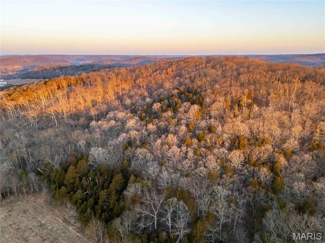 $1 | 0 Missouri D Highway, Marthasville, MO 63357