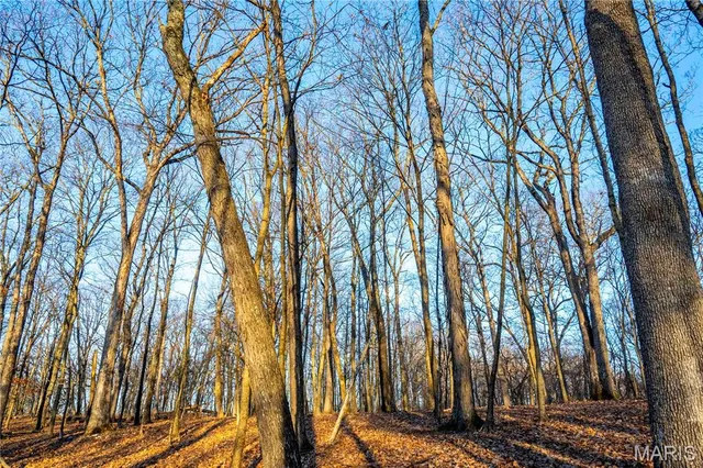 $1 | 0 Missouri D Highway, Marthasville, MO 63357