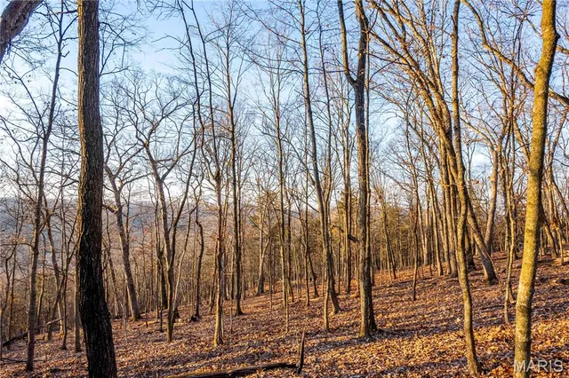 $1 | 0 Missouri D Highway, Marthasville, MO 63357