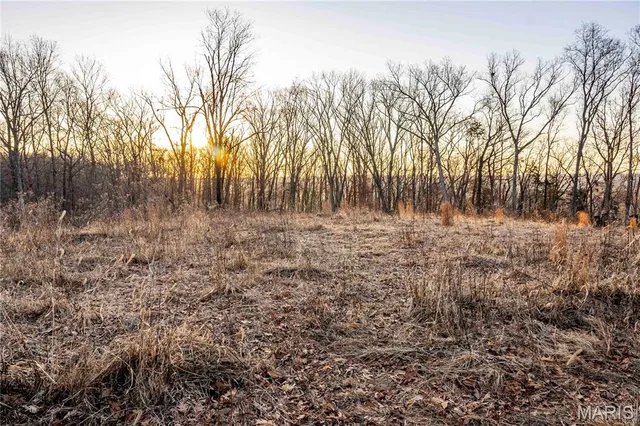 $1 | 0 Missouri D Highway, Marthasville, MO 63357