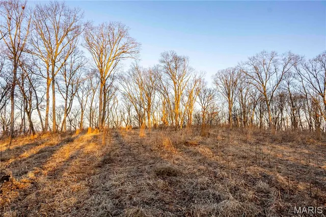 $1 | 0 Missouri D Highway, Marthasville, MO 63357