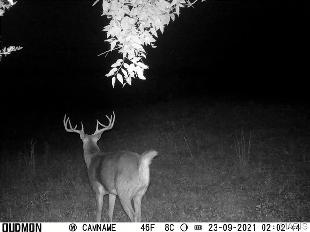 $1 | 0 Missouri D Highway, Marthasville, MO 63357