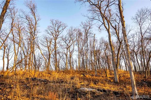 $1 | 0 Missouri D Highway, Marthasville, MO 63357