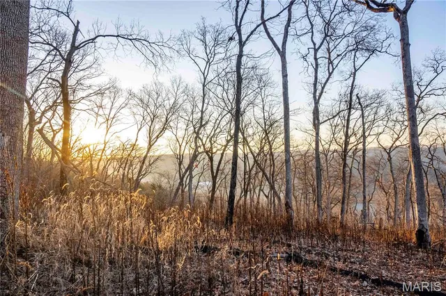 $1 | 0 Missouri D Highway, Marthasville, MO 63357