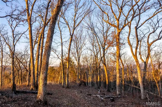 $1 | 0 Missouri D Highway, Marthasville, MO 63357