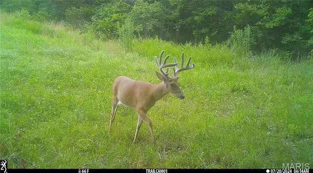 $1 | 0 Missouri D Highway, Marthasville, MO 63357