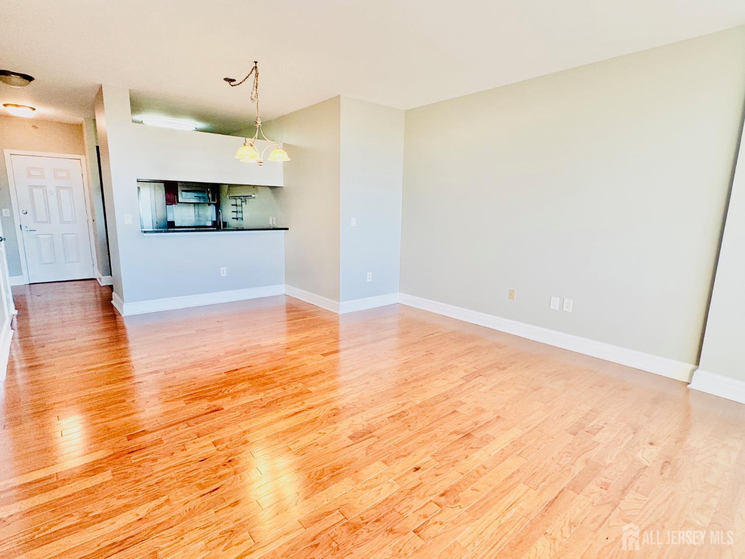 1 Spring Street, Unit 1806 New Brunswick, NJ 08901 - Photo 18 of 65
