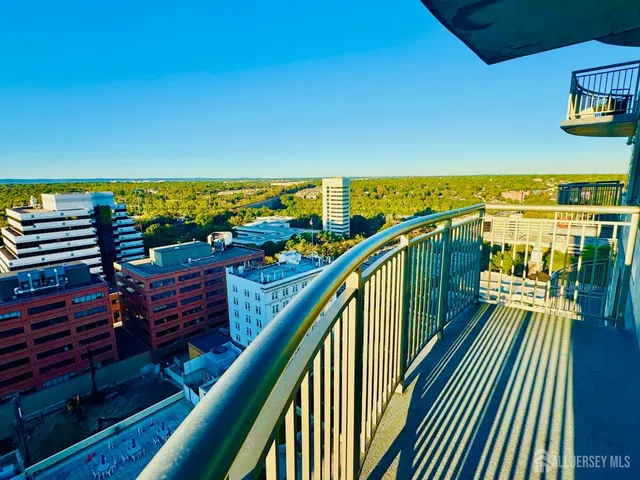 a close up of a plant