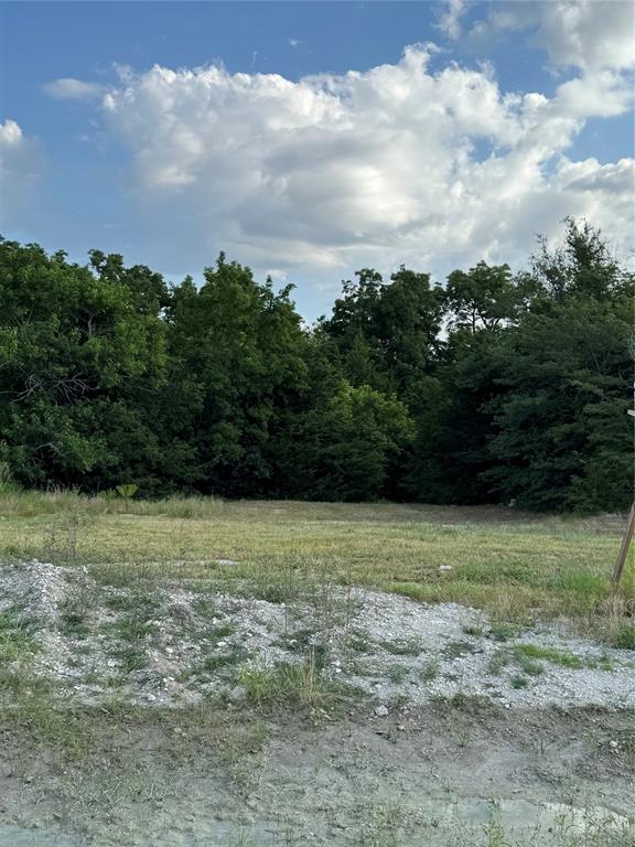 217 Avery Lane Gunter, TX 75058 - Photo 1 of 4 a view of a field with an trees