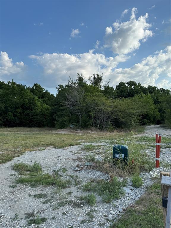 217 Avery Lane Gunter, TX 75058 - Photo 3 of 4 a view of outdoor space and yard