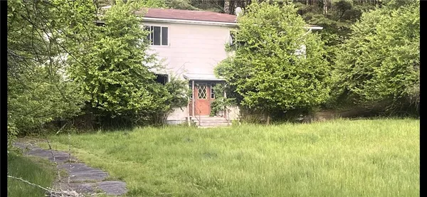 a backyard of a house with lots of green space and plants