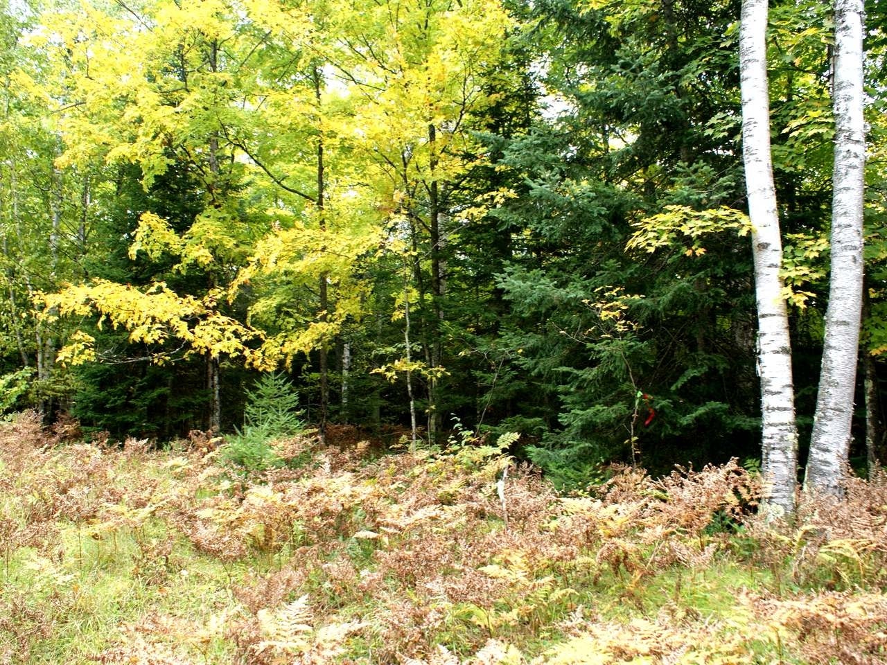 On Vera Lane Presque Isle, WI 54557 - Photo 9 of 9 Gallery Image 9