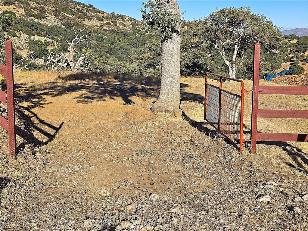 0 Zurich Drive Tehachapi, CA 93561 - Photo 13 of 58 a view of a backyard of the house