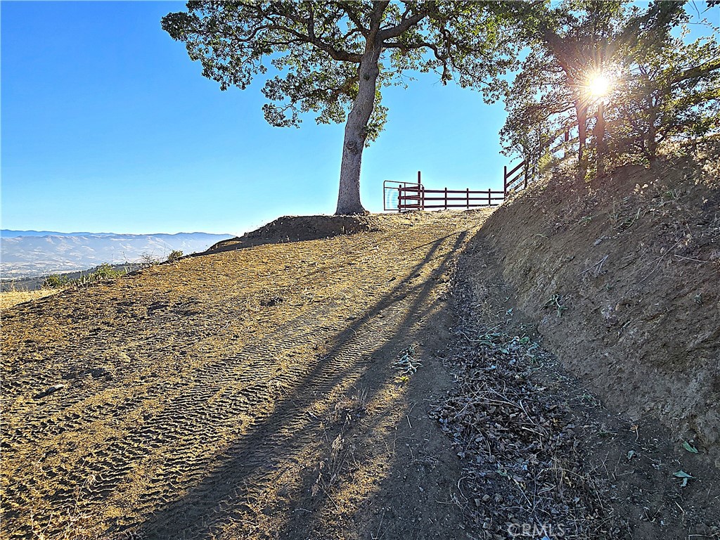 0 Zurich Drive Tehachapi, CA 93561 - Photo 14 of 58 a view of a dry yard with wooden fence and large trees