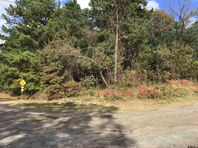 a view of outdoor space and a yard